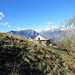 Parpinasca