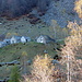 Alpe Campo