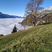 Bike-Depot auf Lüsis: Blick übers Nebelmeer nach Westen ..