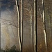 Buchenspiel an der Nebelgrenze