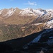 Sonne unterm Rotlahner