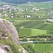 Blick vom oberen Ende Richting Latsch, umgeben von unzähligen Apfelplantagen. Ein typisches Bild im Vinschgau!