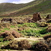 Reste alter Bauernhäuser, wie man sie so oft auf Fuerteventura findet.