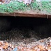 Und zum Schluss: Ein kleiner Felsspalt am Wegesrand.