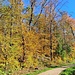 Am Wanderparkplatz lief ich hinunter zur Waldstraße, die hier von Busenberg herauskommt, und auf ihr weiter Richtung Osten. Am Waldrand dreht sie nach rechts.