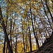 Im Aufstieg zum Eichelberg.