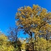 Man erreicht die Straße beim Abzweig der K85, in der Nähe des Wanderparkplatzes. Zu diesem kehrte ich nun zurück.