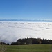 Panorama vom Weissenstein aus