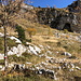 Im Abstieg vom Col Nudo - An der Casera Scalet Alta, die offensichtlich nur noch eine Ruine ist.