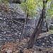 Linea Cadorna