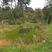 kleiner Weiher am Aubach bei Riehen