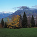 Herbstliche Farben beim Abstieg nach Dallenwil. Hinten Buochserhorn