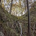 La bocchetta (CTR 984 m) tra il Tono della Selva e il Tono dei Turchi
