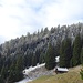 Erst bei der Alp Marola lag ein Schäumchen Schnee, so das es gerade noch weiss war.