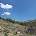 2016 gab es auf Thasos ein Trockengewitter, d.h. Blitze ohne Regen. An gleich 3 Stellen schlugen Blitze ein und es brach Feuer aus, verheerend für die Insel. Teile sind hier zu sehen