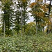 Gipfelfoto Bois des Perroyers. Gemacht auf dieser [https://www.hikr.org/tour/post175369.html Wanderung].


