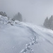Stapf-stapf-stapf, am Grat wurde der Pulver-Schnee tiefer.