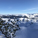 Weisse Alpen, soweit man schaut.