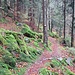 Das schöne Gaißenpfädle führt auf das Plateau hinauf