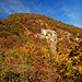 Herbstgold