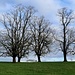 Ciel de novembre II