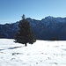 Gurtisspitze, Hohe Köpfe und Galinakopf vom Frastanzer Sand
