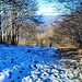 La salita al monte Tesoro,essendo piu a N troviamo un po di neve