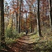 Weg zur Burgruine Homburg