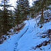Tolle "Singletrails" :-) 