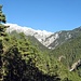 Bick zum Freiungen Höhenweg.