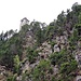 Burg Fragenstein.