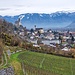 Reben zwischen Sargans und Heiligkreuz