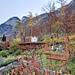 Gartenkunst in Oberragnatsch im herbstlichen Rostbraun