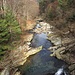 Il Torrente Sorba a valle del Ponte della Prabella