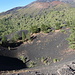 Etna: crateri Sarturius