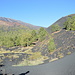 Etna: sentiero crateri Sarturius