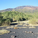 Etna: sentiero crateri Sarturius