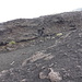 Etna: verso Rifugio Citelli