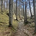 Auf dem Weg zur Wanneflue.