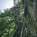 auf dem Abstieg zum Buuschebach