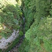 Morgetebach