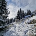 Zwischen Moos und dem Kristallloch: Auch Wildtiere nutzen vorzugsweise die verschneiten Wanderwege