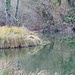 noch einmal der Teich vom Beginn der Tour