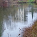 der kleine Teich am Beginn der Wanderung