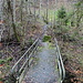 einen Pfad am Ende der Brücke konnte ich nicht sehen und die Abhänge sind sehr steil. Vielleicht nach links in den Wald?