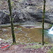 noch einen Blick auf das Becken