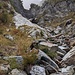 Il tracciato del vecchio sentiero per l'Alpe La Rossa sulla mappa catastale porterebbe a salire sulla destra idrografica di questo canale ma, non trovando terreno adatto, dopo varie divagazioni, ci portiamo sulla sinistra idrografica e saliamo nell'intrico dei rododendri...