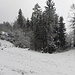Impressionen von ..