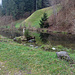 Blick zum Schachenhausweiher.