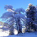 Winterzauber
